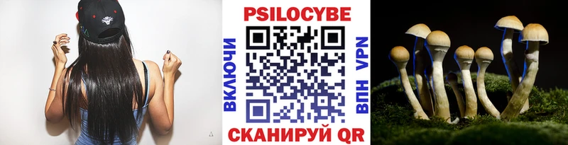 Галлюциногенные грибы Psilocybe  Когалым 
